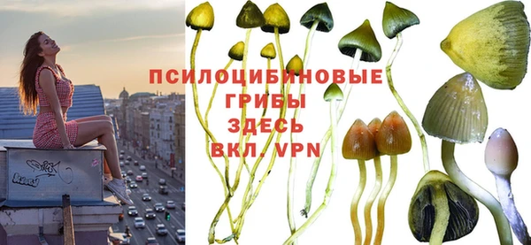 прущий лед Зеленодольск