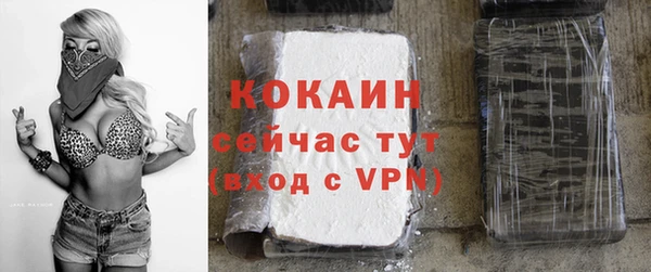 твердый Зеленокумск